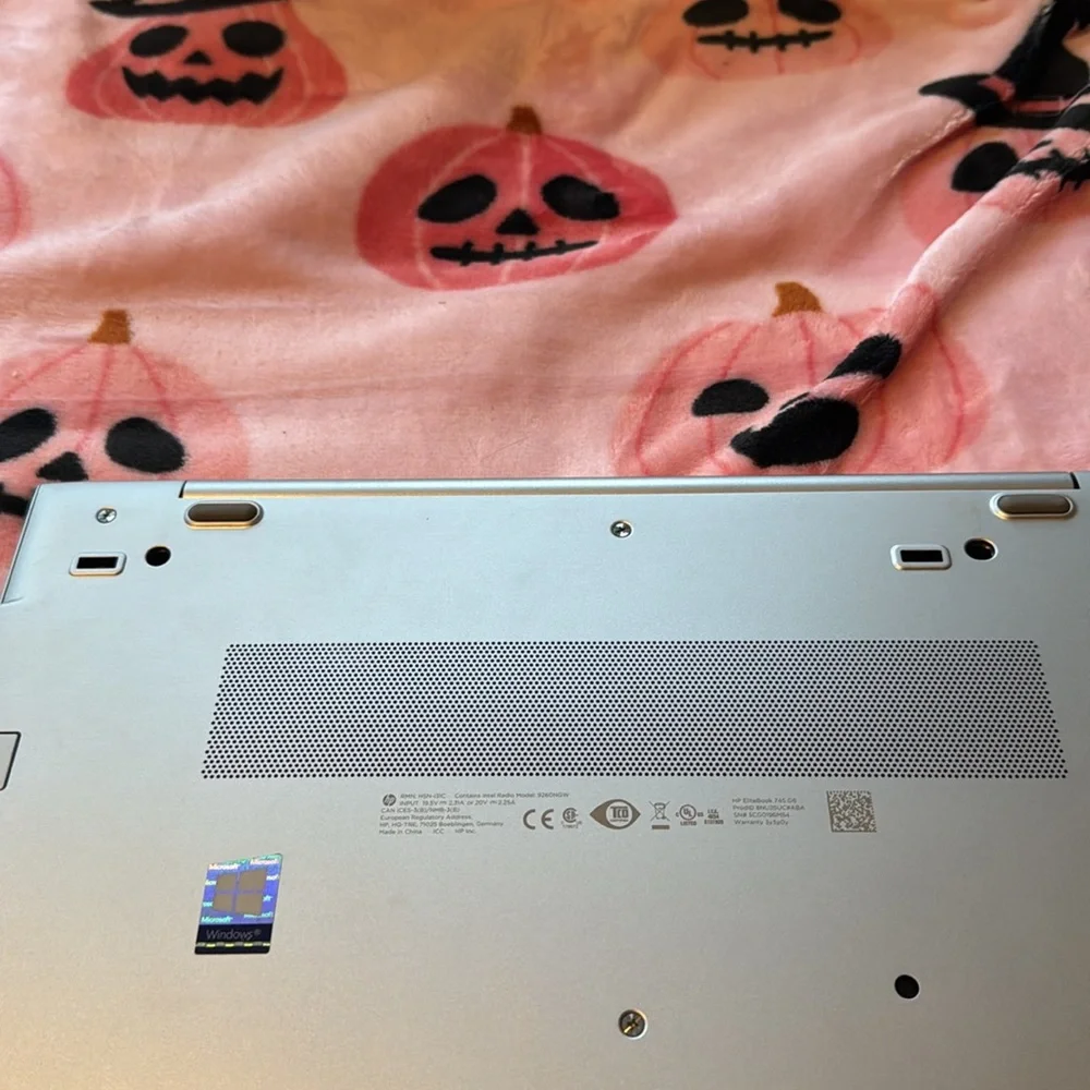 Hp elitebook 745 g6 14” laptop 250 gb memory, factory mode and like brand new